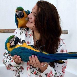 Meet your Posher, Ashten